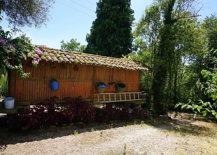 Casa Do Lugar De Pacos Pensión